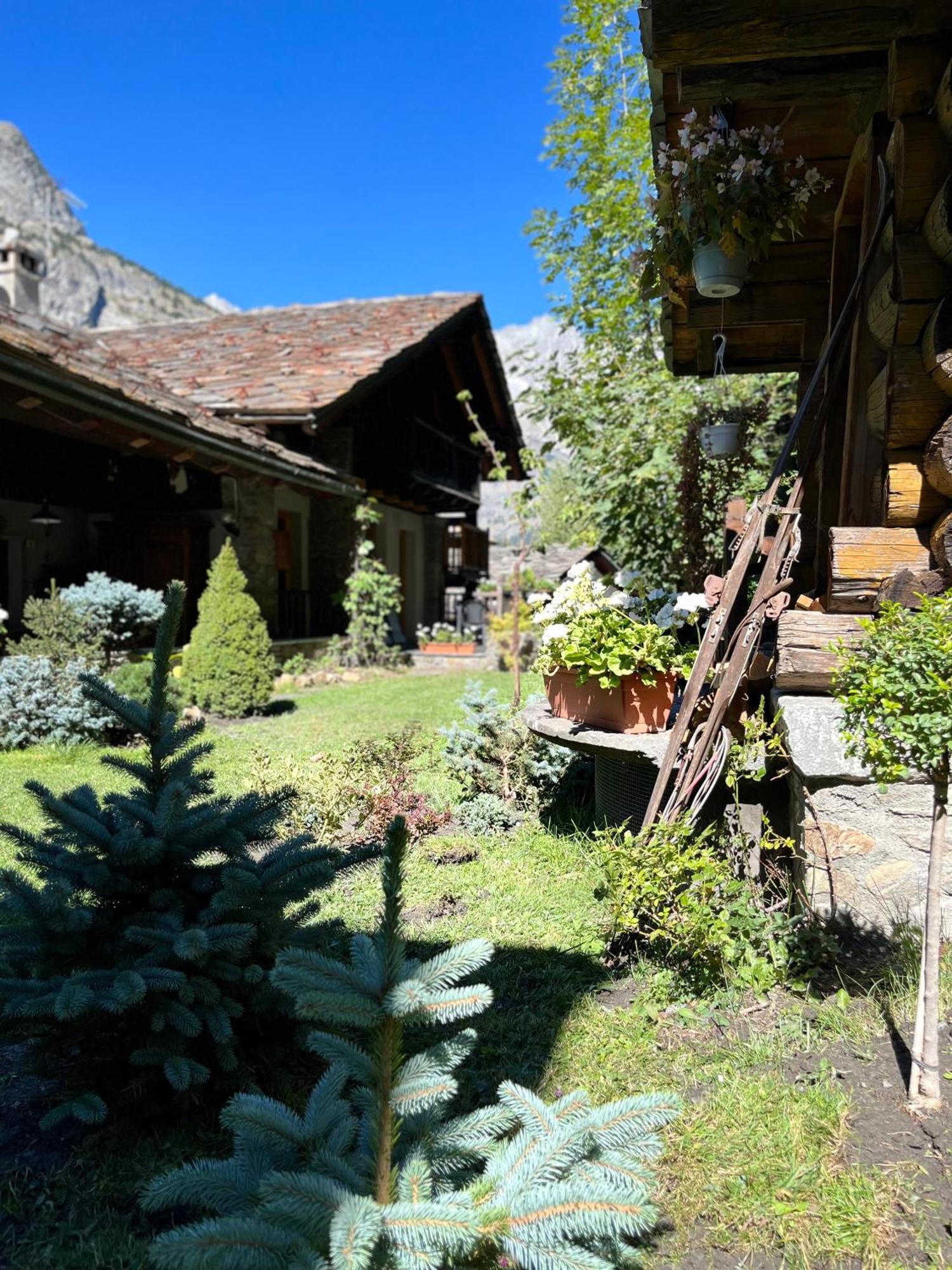 Chalet Blanc Le Duplex Courmayeur Exterior photo